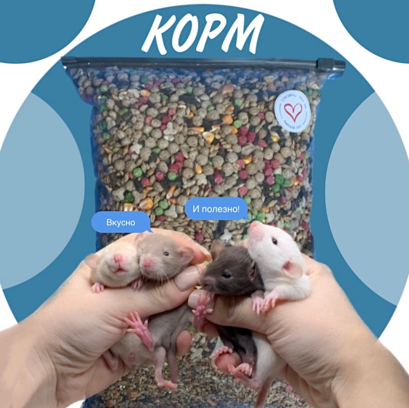 Корм для крыс