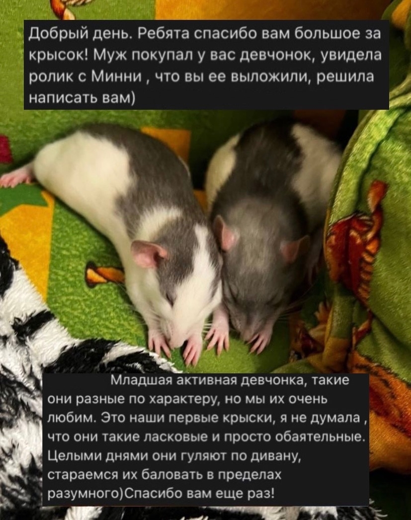 Отзыв 2 на Авито