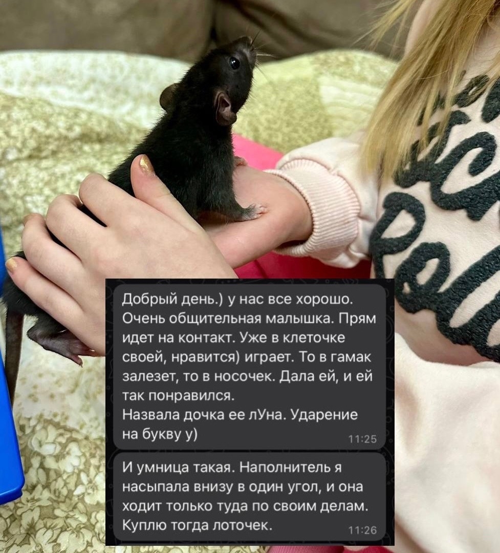 Отзыв 3 на Авито