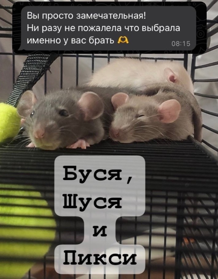 Отзыв 4 на Авито