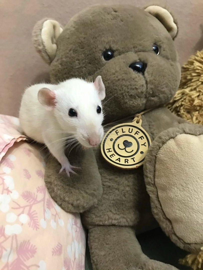 Выпускник 1