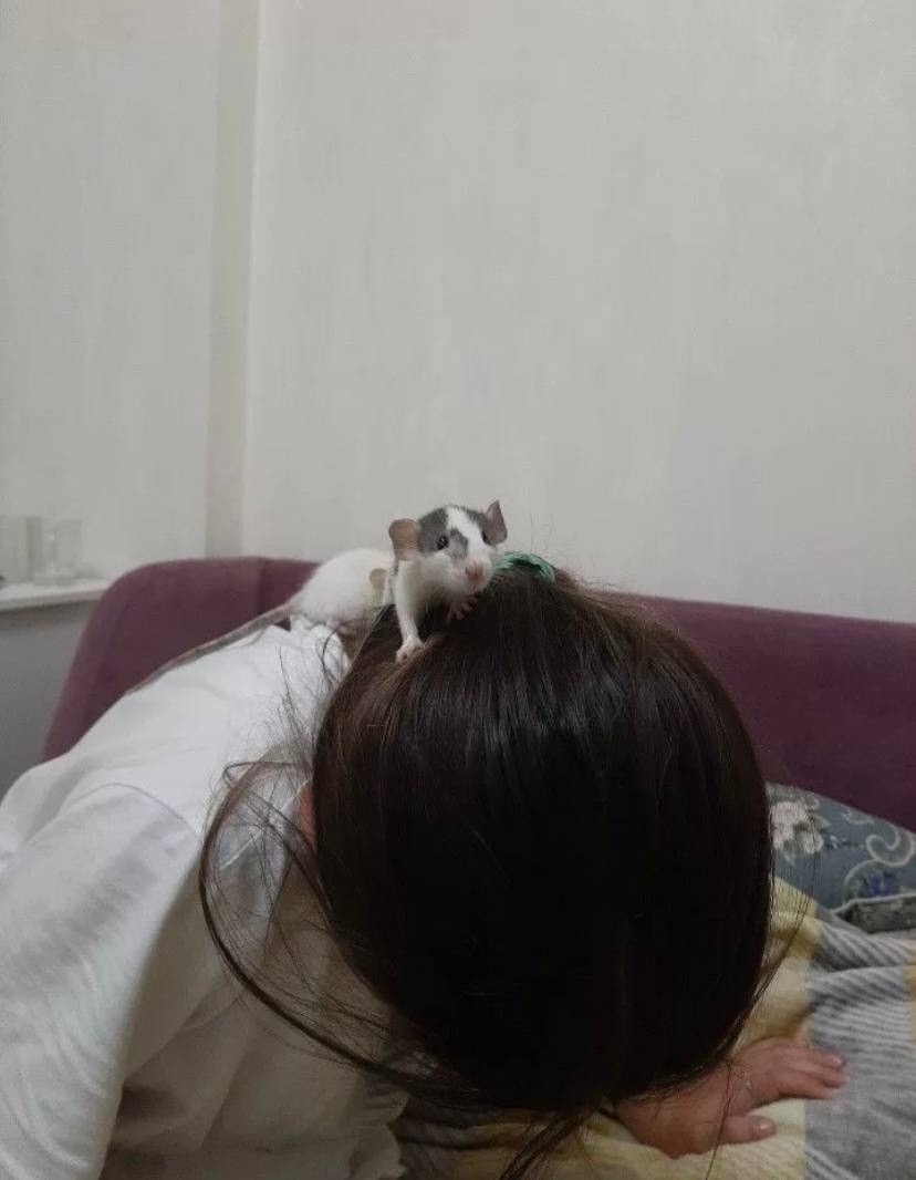 Выпускник 3