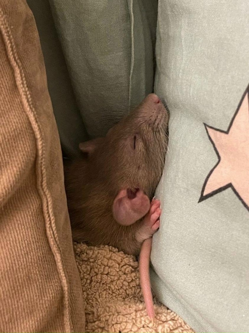 Выпускник 4