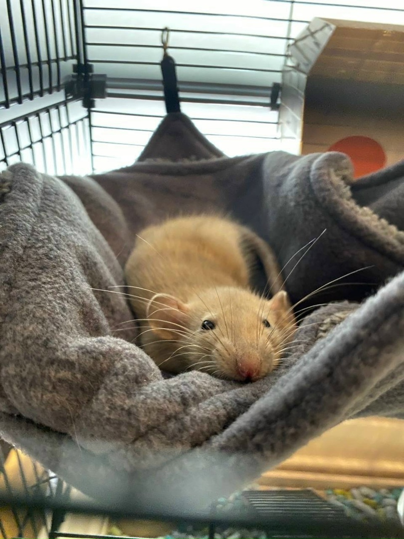 Выпускник 6